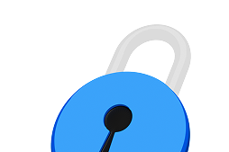 Gestisci il wallet
